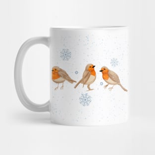 Winter Robins Mug